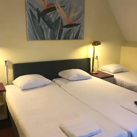 De Weyman 3*